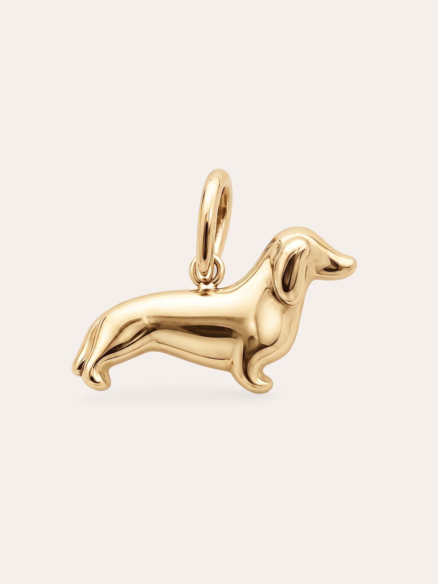 Dackel Charm