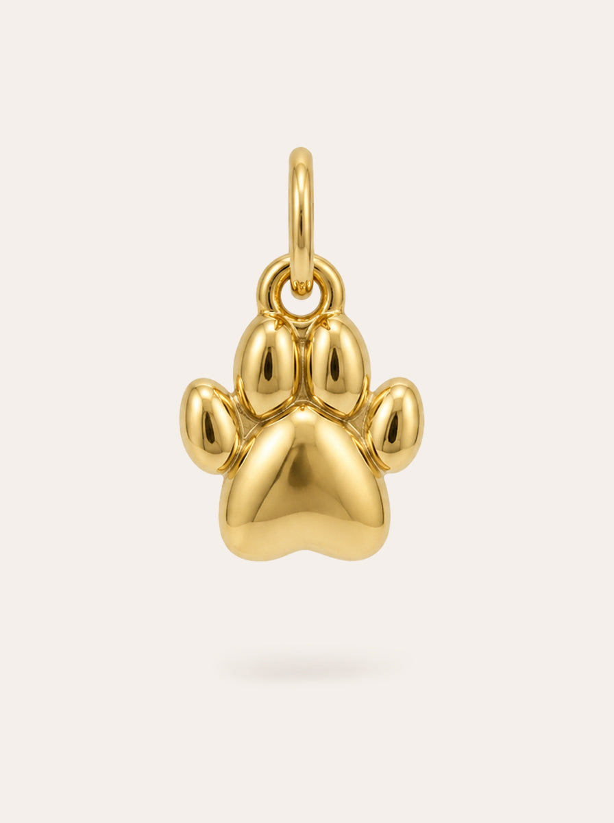 Pfote Charm