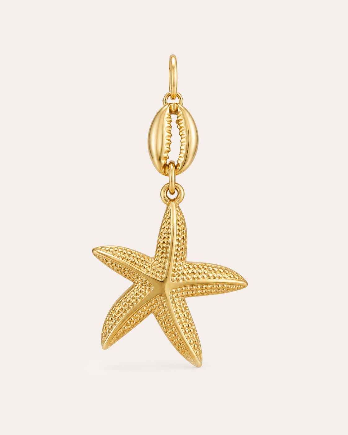 Seestern Charm